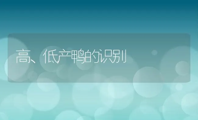 高、低产鸭的识别 | 动物养殖饲料