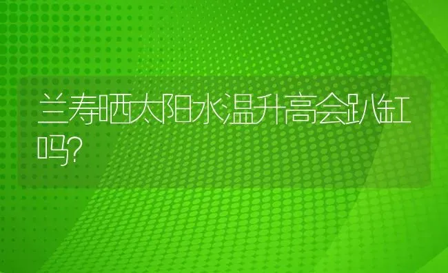 兰寿晒太阳水温升高会趴缸吗？ | 鱼类宠物饲养