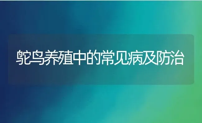 鸵鸟养殖中的常见病及防治 | 动物养殖百科