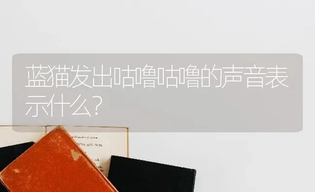 蓝猫发出咕噜咕噜的声音表示什么？ | 动物养殖问答