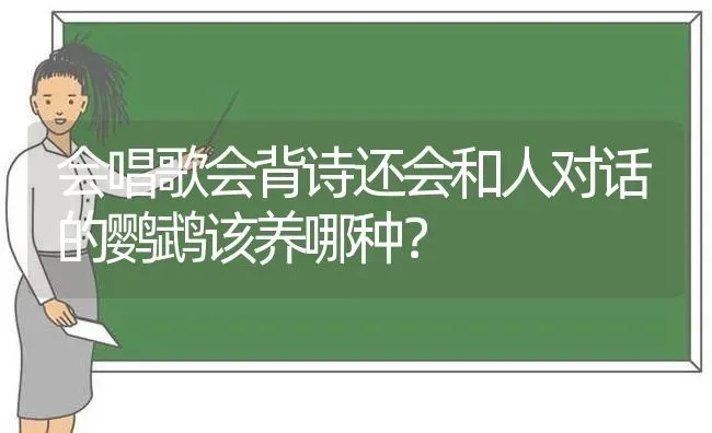 会唱歌会背诗还会和人对话的鹦鹉该养哪种？ | 动物养殖问答