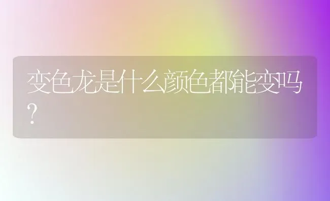 变色龙是什么颜色都能变吗？ | 动物养殖问答