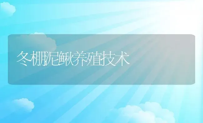 冬棚泥鳅养殖技术 | 动物养殖教程