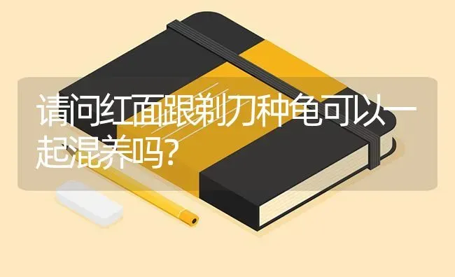 请问红面跟剃刀种龟可以一起混养吗？ | 动物养殖问答