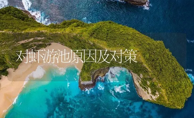 对虾游池原因及对策 | 海水养殖技术