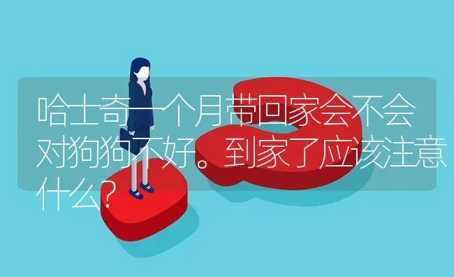 哈士奇一个月带回家会不会对狗狗不好。到家了应该注意什么？ | 动物养殖问答