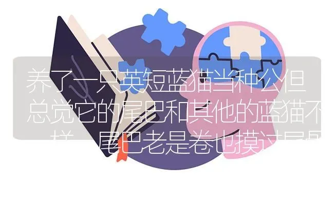 刚满月的雪纳瑞怎么养？ | 动物养殖问答