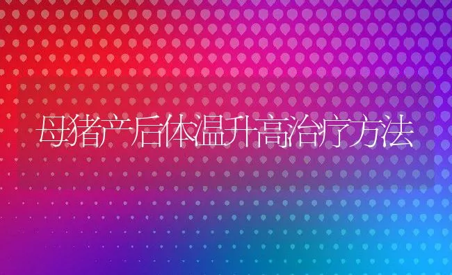 母猪产后体温升高治疗方法 | 动物养殖学堂