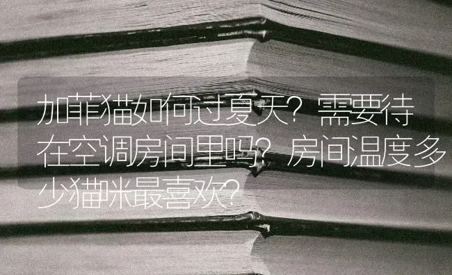 加菲猫如何过夏天？需要待在空调房间里吗？房间温度多少猫咪最喜欢？ | 动物养殖问答