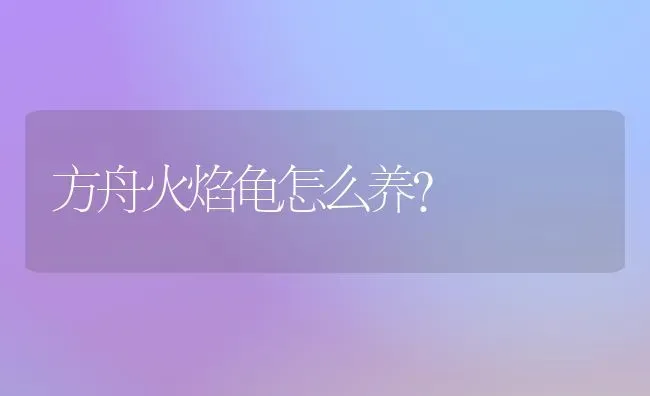 方舟火焰龟怎么养？ | 动物养殖问答