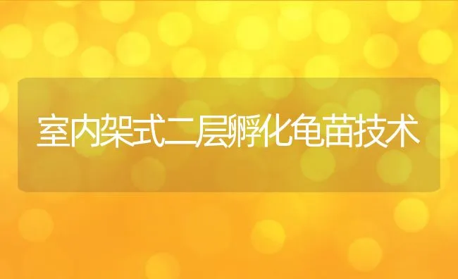 室内架式二层孵化龟苗技术 | 水产养殖知识