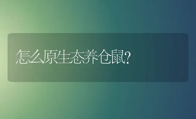 怎么原生态养仓鼠？ | 动物养殖问答