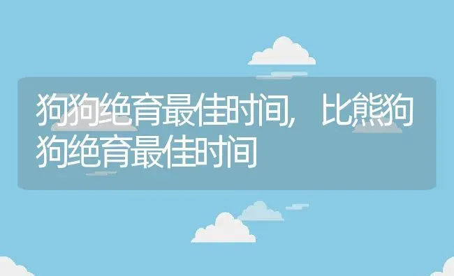 狗狗绝育最佳时间,比熊狗狗绝育最佳时间 | 宠物百科知识