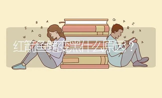 红箭鱼鳍变黑什么原因？ | 鱼类宠物饲养