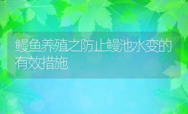 鳗鱼养殖之防止鳗池水变的有效措施 | 动物养殖饲料