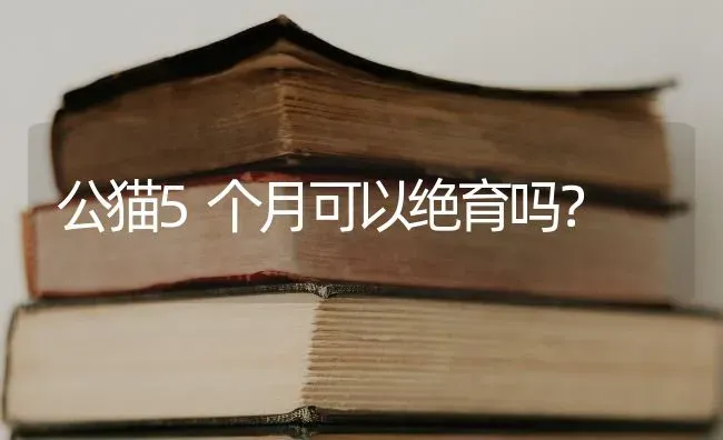 公猫5个月可以绝育吗？ | 动物养殖问答