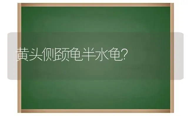 黄头侧颈龟半水龟？ | 动物养殖问答