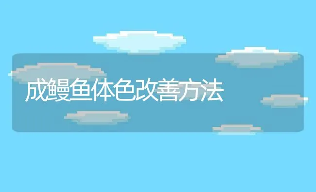 成鳗鱼体色改善方法 | 动物养殖饲料