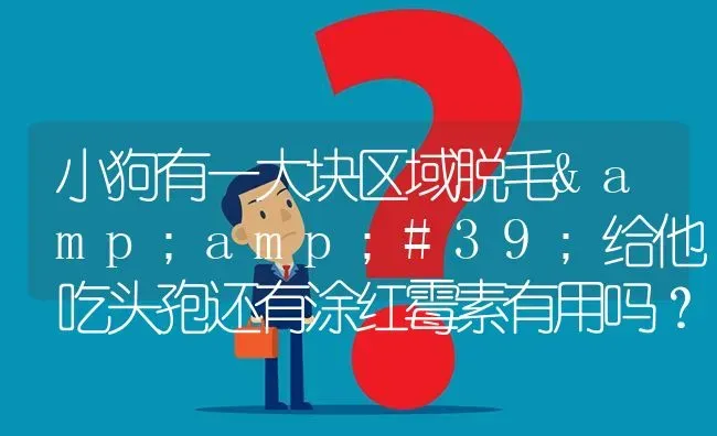 小狗有一大块区域脱毛'给他吃头孢还有涂红霉素有用吗？ | 动物养殖问答