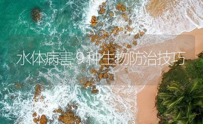 水体病害９种生物防治技巧 | 海水养殖技术