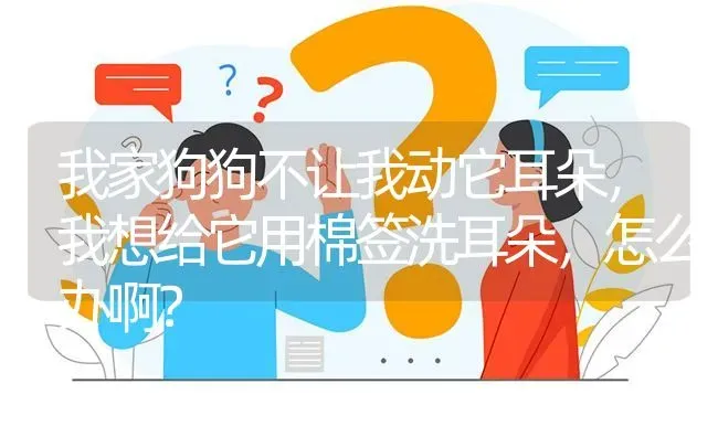 我家狗狗不让我动它耳朵，我想给它用棉签洗耳朵，怎么办啊？ | 动物养殖问答