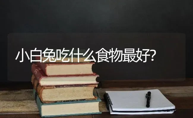 小白兔吃什么食物最好？ | 动物养殖问答