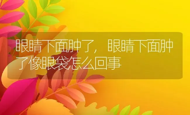 眼睛下面肿了,眼睛下面肿了像眼袋怎么回事 | 宠物百科知识