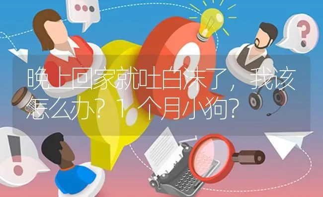 晚上回家就吐白沫了，我该怎么办？1个月小狗？ | 动物养殖问答