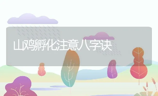 山鸡孵化注意八字诀 | 水产养殖知识