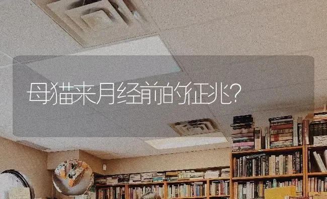 母猫来月经前的征兆？ | 动物养殖问答