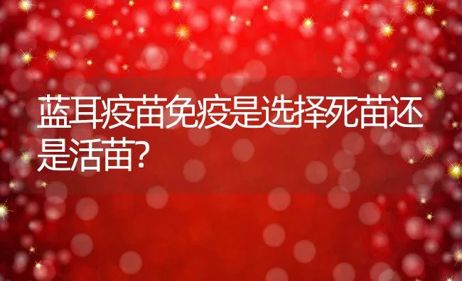 蓝耳疫苗免疫是选择死苗还是活苗？ | 动物养殖学堂