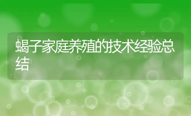 蝎子家庭养殖的技术经验总结 | 动物养殖饲料