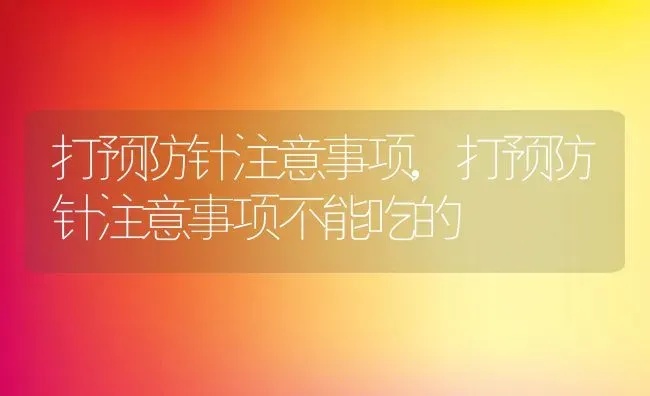 打预防针注意事项,打预防针注意事项不能吃的 | 宠物百科知识