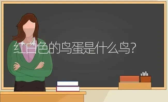 红白色的鸟蛋是什么鸟？ | 动物养殖问答