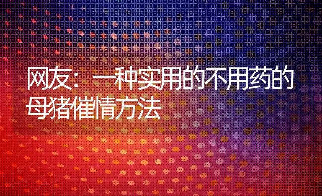 网友：一种实用的不用药的母猪催情方法 | 动物养殖学堂