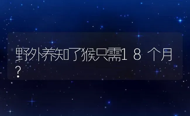 野外养知了猴只需18个月? | 动物养殖百科