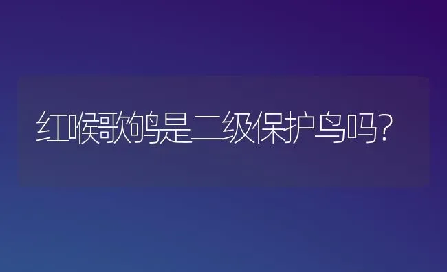 红喉歌鸲是二级保护鸟吗？ | 动物养殖问答