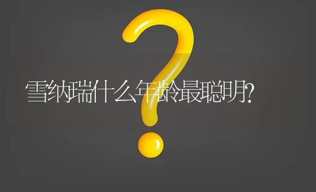 雪纳瑞什么年龄最聪明？ | 动物养殖问答