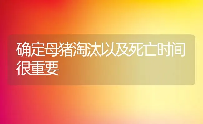 确定母猪淘汰以及死亡时间很重要 | 动物养殖饲料