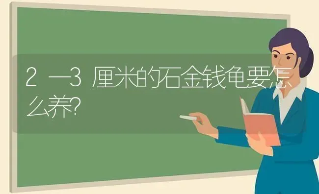 2一3厘米的石金钱龟要怎么养？ | 动物养殖问答