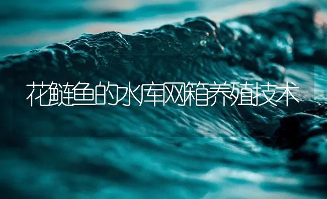 花鲢鱼的水库网箱养殖技术 | 海水养殖技术