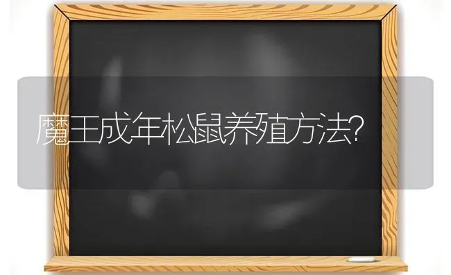 魔王成年松鼠养殖方法？ | 动物养殖问答