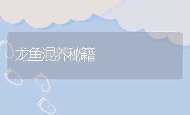 龙鱼混养秘籍 | 动物养殖教程