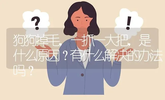 博美洗澡的六大禁忌？ | 动物养殖问答