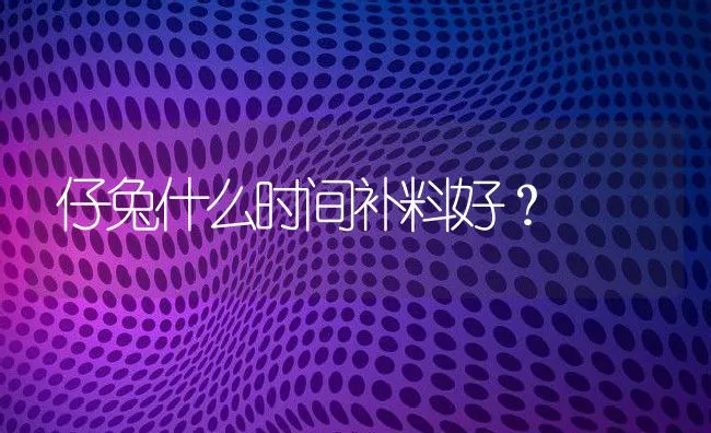 仔兔什么时间补料好？ | 动物养殖学堂