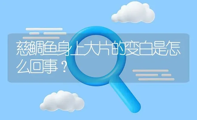 慈鲷鱼身上大片的变白是怎么回事？ | 鱼类宠物饲养