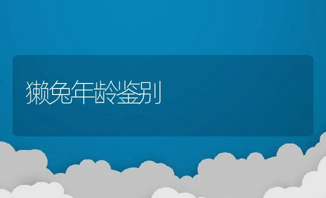 獭兔年龄鉴别 | 水产养殖知识