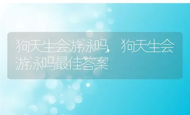 狗天生会游泳吗,狗天生会游泳吗最佳答案 | 宠物百科知识