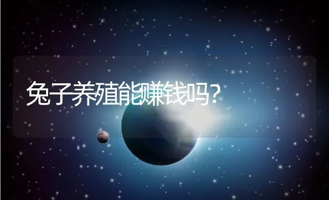 兔子养殖能赚钱吗？ | 动物养殖百科