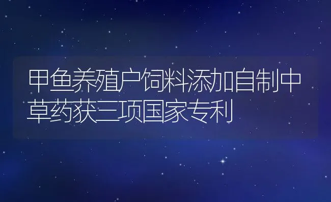 甲鱼养殖户饲料添加自制中草药获三项国家专利 | 动物养殖饲料